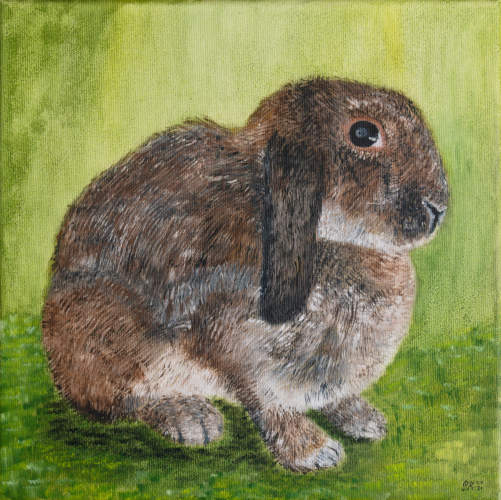rabbit-portrait