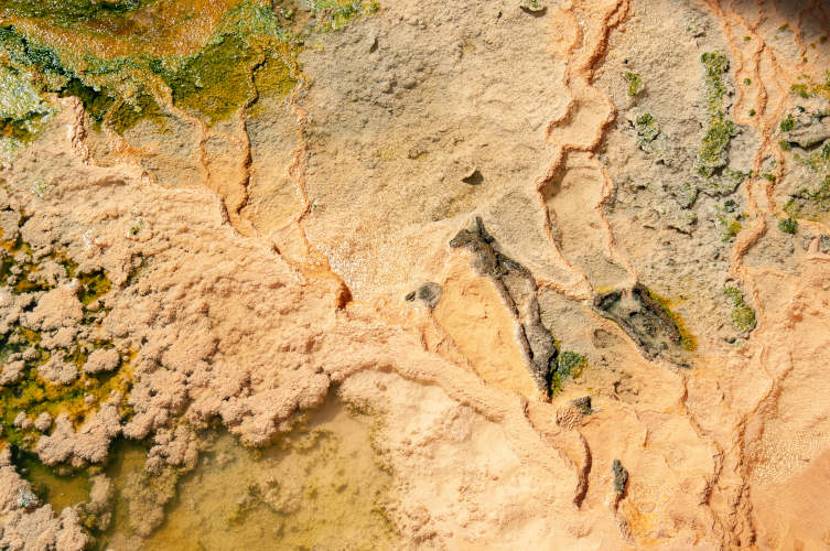 mineral-sediment