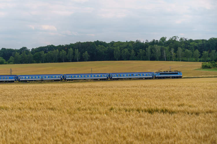 train-in-the-field